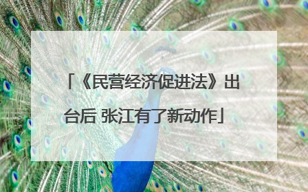 《民营经济促进法》出台后 张江有了新动作