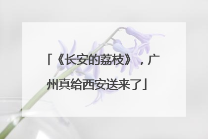 《长安的荔枝》，广州真给西安送来了