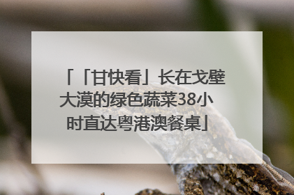 「甘快看」长在戈壁大漠的绿色蔬菜38小时直达粤港澳餐桌