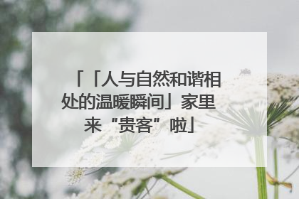 「人与自然和谐相处的温暖瞬间」家里来“贵客”啦