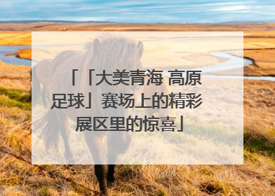 「大美青海 高原足球」赛场上的精彩 展区里的惊喜