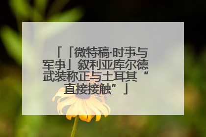 「微特稿·时事与军事」叙利亚库尔德武装称正与土耳其“直接接触”