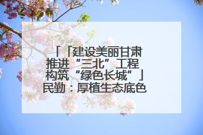 「建设美丽甘肃 推进“三北”工程 构筑“绿色长城”」民勤：厚植生态底色 筑牢绿色屏障