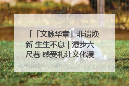 「文脉华章」非遗焕新 生生不息｜漫步六尺巷 感受礼让文化浸润的“巷”往生活