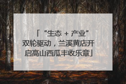“生态 + 产业”双轮驱动，兰溪黄店开启高山西瓜丰收乐章