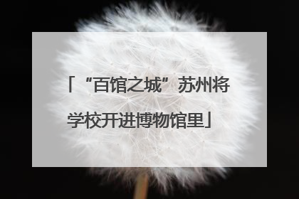 “百馆之城”苏州将学校开进博物馆里