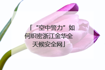 “空中警力”如何织密浙江金华全天候安全网