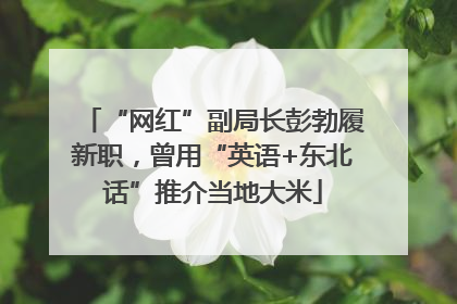 “网红”副局长彭勃履新职，曾用“英语+东北话”推介当地大米