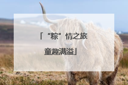 “粽”情之旅 童趣满溢