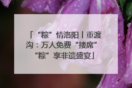 “粽”情洛阳丨重渡沟：万人免费“搂席” “粽”享非遗盛宴