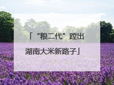 “粮二代”蹚出湖南大米新路子