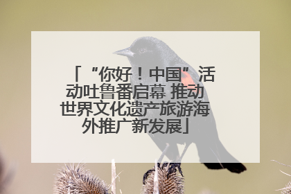 “你好！中国”活动吐鲁番启幕 推动世界文化遗产旅游海外推广新发展