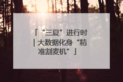 “三夏”进行时｜大数据化身“精准割麦机”