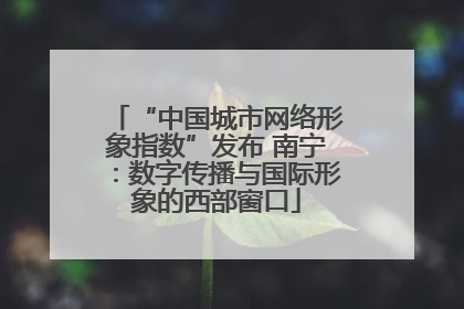 “中国城市网络形象指数”发布 南宁：数字传播与国际形象的西部窗口