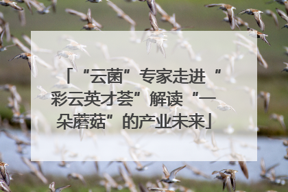 “云菌”专家走进“彩云英才荟”解读“一朵蘑菇”的产业未来