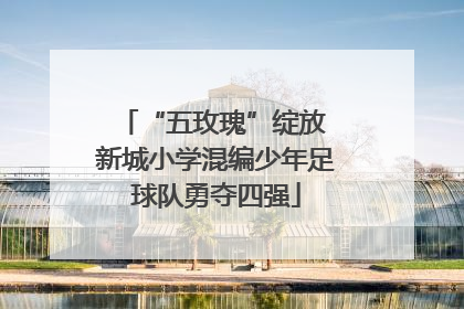 “五玫瑰”绽放 新城小学混编少年足球队勇夺四强