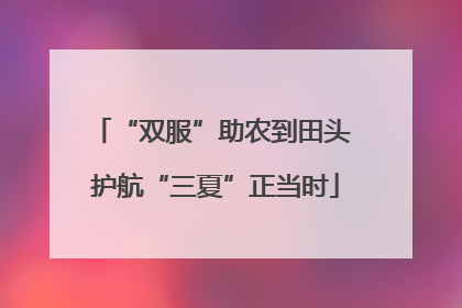 “双服”助农到田头 护航“三夏”正当时