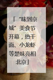 “味到京城”美食节开幕，热干面、小龙虾等楚味亮相北京