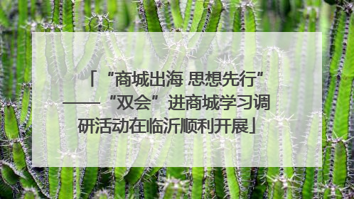 “商城出海 思想先行”——“双会”进商城学习调研活动在临沂顺利开展