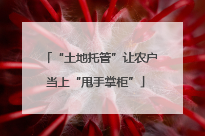 “土地托管”让农户当上“甩手掌柜”