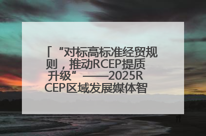 “对标高标准经贸规则，推动RCEP提质升级”——2025RCEP区域发展媒体智库论坛举行专题对话