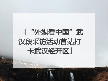 “外媒看中国”武汉段采访活动首站打卡武汉经开区