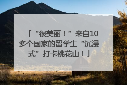 “很美丽！”来自10多个国家的留学生“沉浸式”打卡桃花山！
