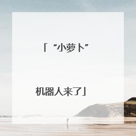 “小萝卜”机器人来了
