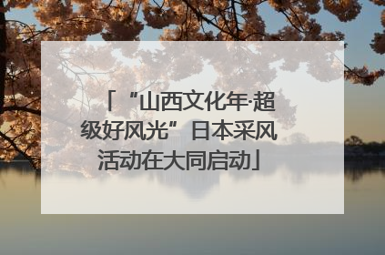 “山西文化年·超级好风光”日本采风活动在大同启动