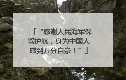“感谢人民海军保驾护航，身为中国人感到万分自豪！”