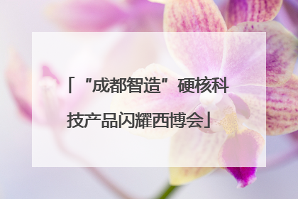 “成都智造”硬核科技产品闪耀西博会