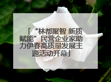 “林都聚智 新质赋能”民营企业家助力伊春高质量发展主题活动开幕