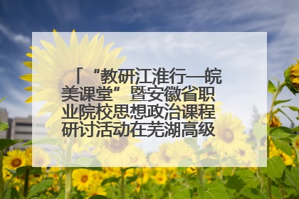 “教研江淮行—皖美课堂”暨安徽省职业院校思想政治课程研讨活动在芜湖高级职业技术学校举行
