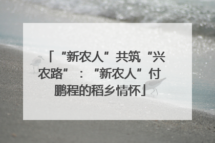 “新农人”共筑“兴农路”：“新农人”付鹏程的稻乡情怀