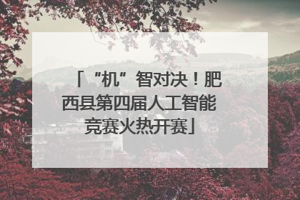 “机”智对决！肥西县第四届人工智能竞赛火热开赛