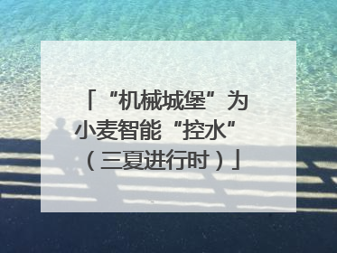 “机械城堡”为小麦智能“控水”（三夏进行时）