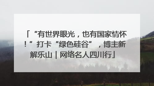 “有世界眼光，也有国家情怀！”打卡“绿色硅谷”，博主新解乐山｜网络名人四川行