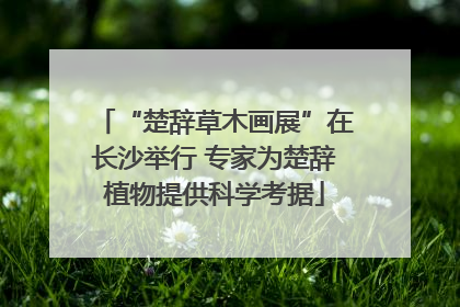 “楚辞草木画展”在长沙举行 专家为楚辞植物提供科学考据