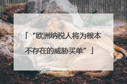 “欧洲纳税人将为根本不存在的威胁买单”