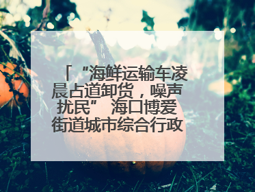 “海鲜运输车凌晨占道卸货，噪声扰民” 海口博爱街道城市综合行政执法中队：将联合交警加强长堤路一带巡逻