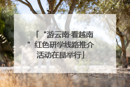 “游云南·看越南”红色研学线路推介活动在昆举行