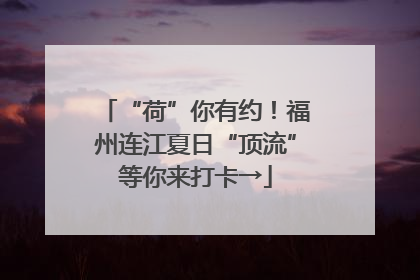 “荷”你有约！福州连江夏日“顶流”等你来打卡→