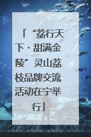 “荔行天下・甜满金陵”灵山荔枝品牌交流活动在宁举行