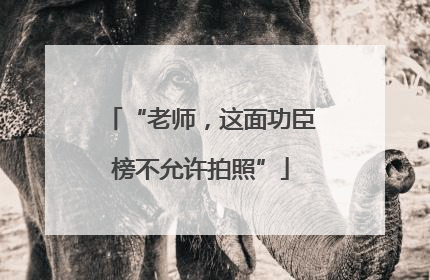 “老师，这面功臣榜不允许拍照”