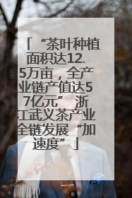 “茶叶种植面积达12.5万亩，全产业链产值达57亿元” 浙江武义茶产业全链发展“加速度”