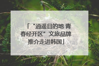 “逍遥目的地 青春经开区”文旅品牌推介走进韩国