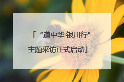 “道中华·银川行”主题采访正式启动