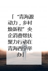“青海源动力，乡村焕新程”央企消费帮扶聚力行动在青海西宁举办
