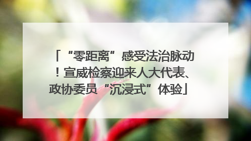 “零距离”感受法治脉动！宣威检察迎来人大代表、政协委员“沉浸式”体验