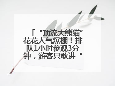 “顶流大熊猫”花花人气爆棚！排队1小时参观3分钟，游客只敢讲“悄悄话”